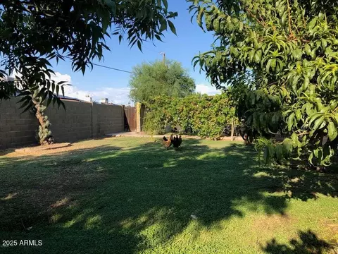 3116 W Dailey St, Phoenix, AZ 85053 photo 4