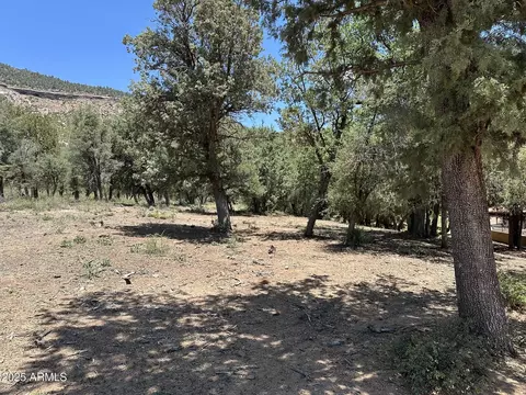 20 Verde Rd #20 & 21, Payson, AZ 85541 photo 15