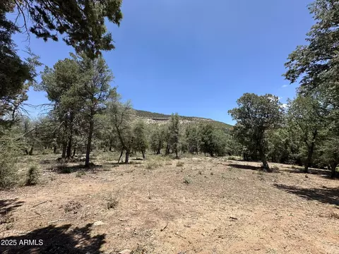 20 Verde Rd #20 & 21, Payson, AZ 85541 photo 21