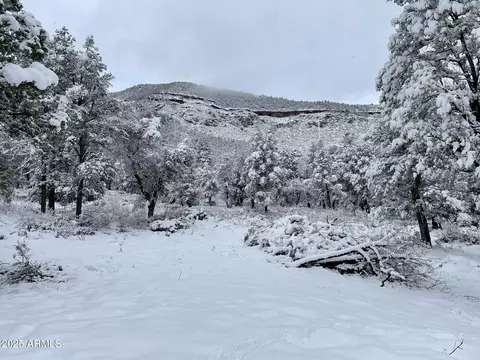 20 Verde Rd #20 & 21, Payson, AZ 85541 photo 72