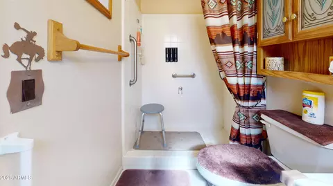 Bath - 1710 W 13th Ave, Apache Junction, AZ 85120 photo 2 of 3
