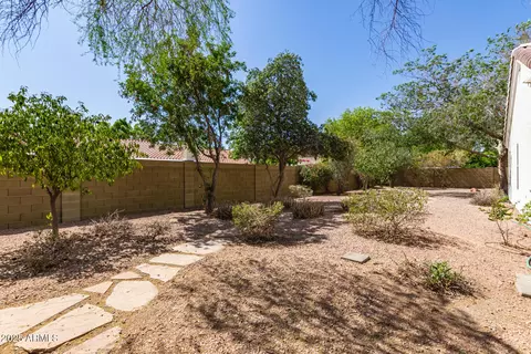 Exterior - 804 N 46th St, Mesa, AZ 85205 photo 12 of 14