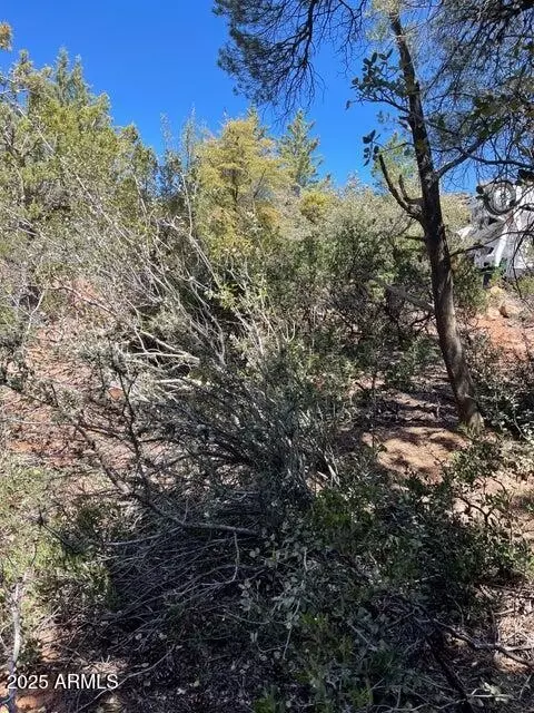 9 Lodgepole Cir #9, Pine, AZ 85544 photo 3