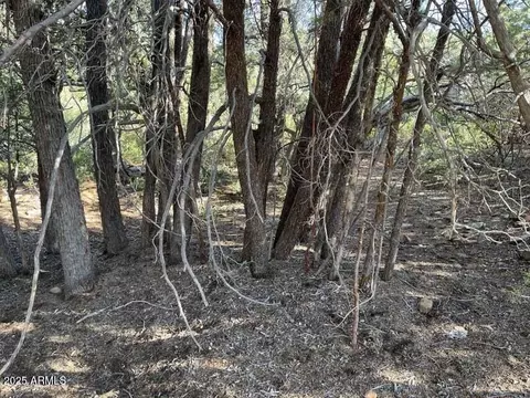 9 Lodgepole Cir #9, Pine, AZ 85544 photo 5
