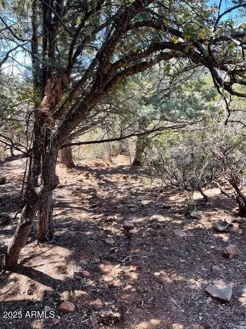 9 Lodgepole Cir #9, Pine, AZ 85544 photo 2