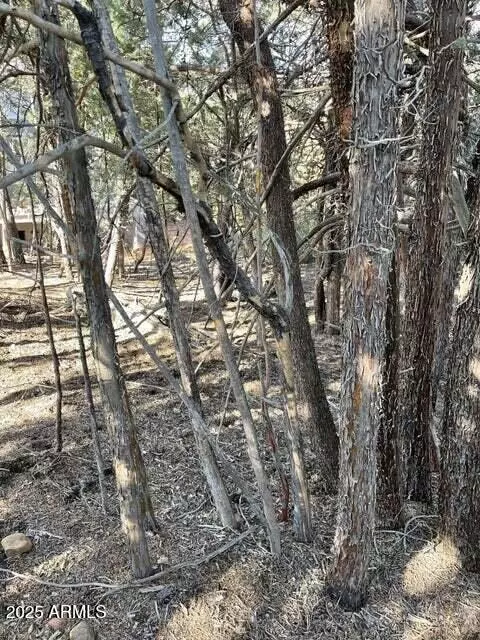 9 Lodgepole Cir #9, Pine, AZ 85544 photo 4