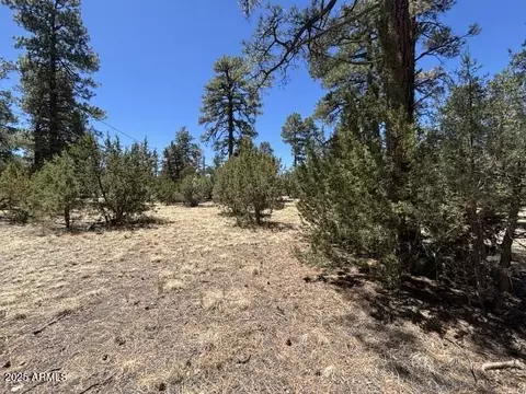 tbd Between 2901 2905 Pine Rim Rd #154B, Overgaard, AZ 85933