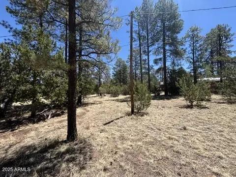 tbd Between 2901 2905 Pine Rim Rd #154B, Overgaard, AZ 85933 photo 3