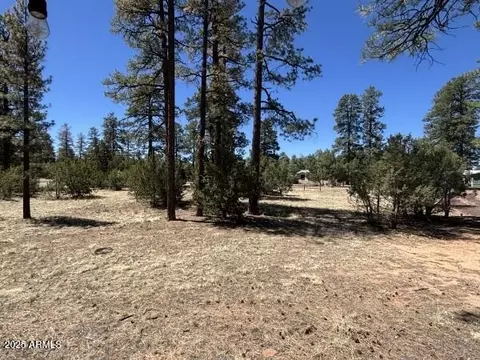 tbd Between 2901 2905 Pine Rim Rd #154B, Overgaard, AZ 85933 photo 2