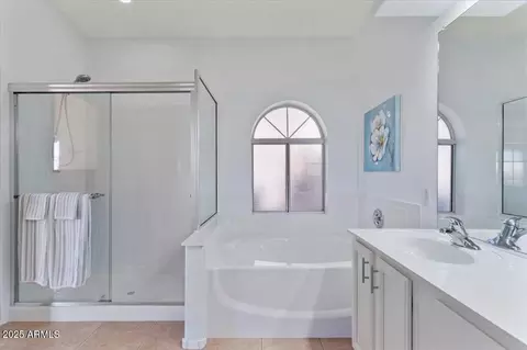 Bath - 4459 E Desert Wind Dr, Phoenix, AZ 85044 photo 1 of 3