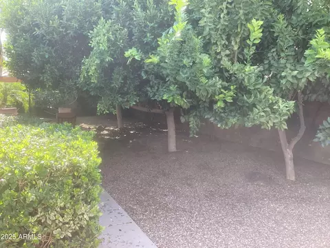 1036 E Wagon Wheel Dr, Phoenix, AZ 85020 photo 29