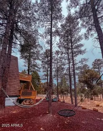 2124 Forest Park Dr, Overgaard, AZ 85933 photo 4