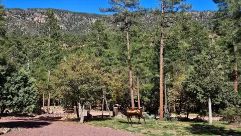Other - 4990 N Pine Creek Canyon Dr, Pine, AZ 85544 photo 5 of 25