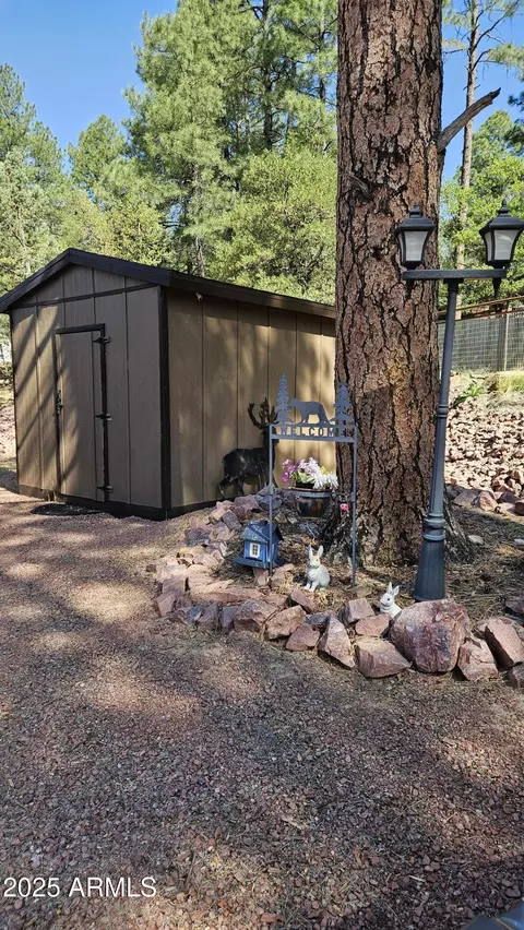 Other - 4990 N Pine Creek Canyon Dr, Pine, AZ 85544 photo 18 of 25