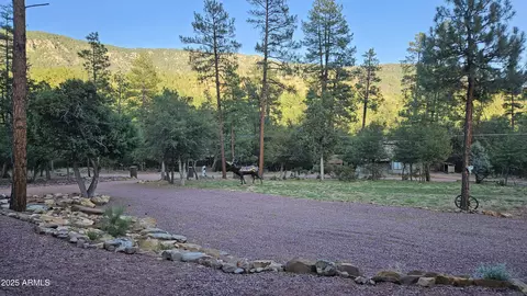 Other - 4990 N Pine Creek Canyon Dr, Pine, AZ 85544 photo 10 of 25