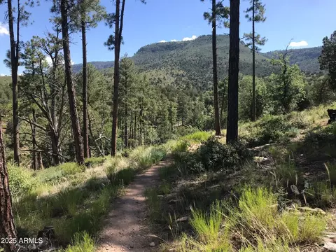 Other - 4990 N Pine Creek Canyon Dr, Pine, AZ 85544 photo 23 of 25