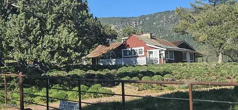 Other - 4990 N Pine Creek Canyon Dr, Pine, AZ 85544 photo 22 of 25