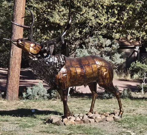 Other - 4990 N Pine Creek Canyon Dr, Pine, AZ 85544 photo 4 of 25