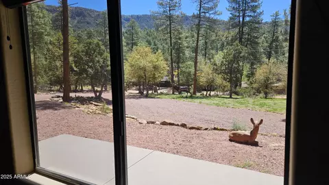 Other - 4990 N Pine Creek Canyon Dr, Pine, AZ 85544 photo 8 of 25