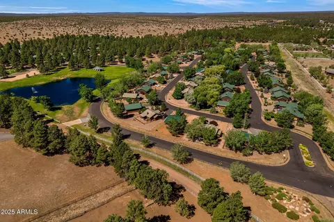 View/Area - 2353 S Buffalo Loop, Overgaard, AZ 85933 photo 2 of 4
