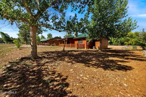 Exterior - 2353 S Buffalo Loop, Overgaard, AZ 85933 photo 11 of 12