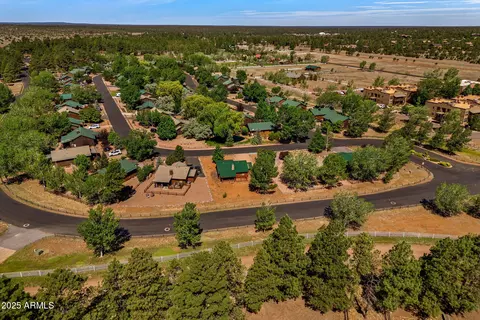 View/Area - 2353 S Buffalo Loop, Overgaard, AZ 85933 photo 3 of 4