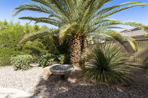 4524 E Narrowleaf Dr, Gilbert, AZ 85298 photo 23