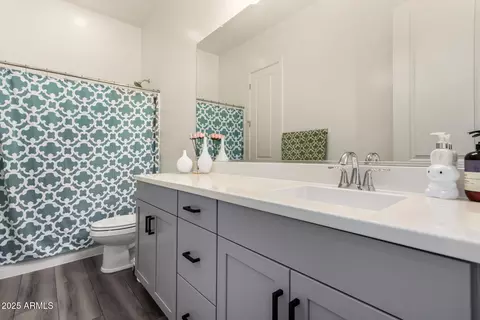 1217 E Monte Way, Phoenix, AZ 85042 photo 25