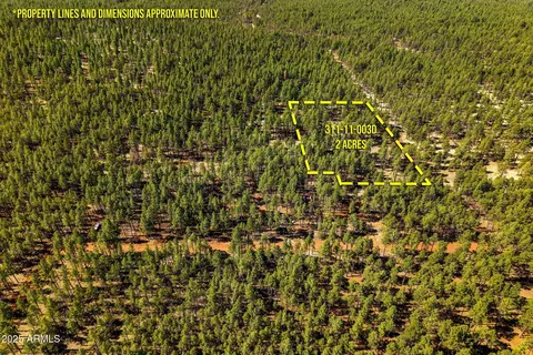 D-TBD Birdsong Way #D, Lakeside, AZ 85929