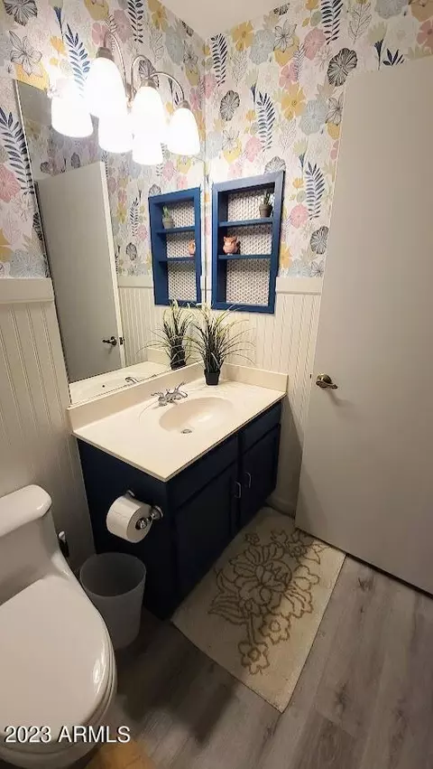 Bath - 2723 E Rockledge Rd, Phoenix, AZ 85048 photo 2 of 3