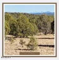 00 N Nn N Edwards Ranch Rd 327 Rd #327, Ash Fork, AZ 86320