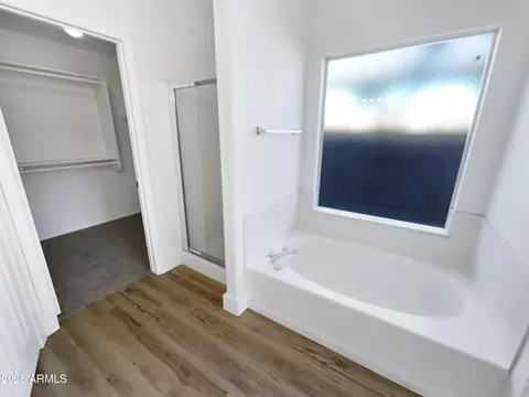 Bath - 317 E Nunneley Rd, Gilbert, AZ 85296 photo 4 of 4