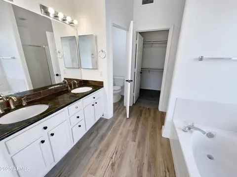 Bath - 317 E Nunneley Rd, Gilbert, AZ 85296 photo 1 of 4