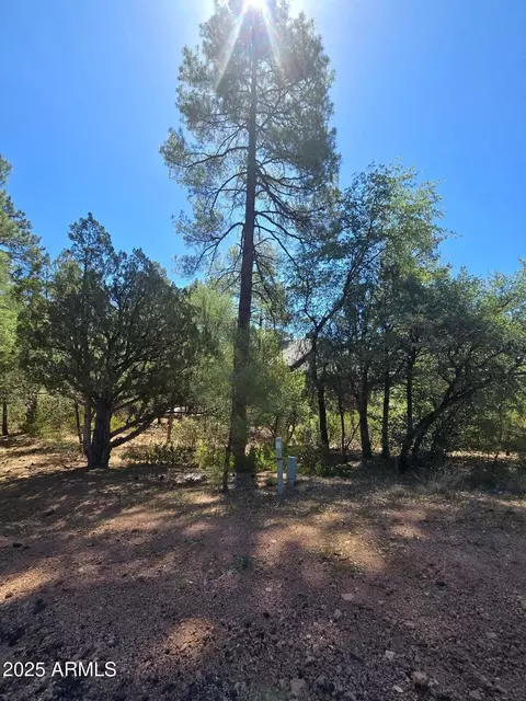 2511 E Pine Island Ln #39, Payson, AZ 85541