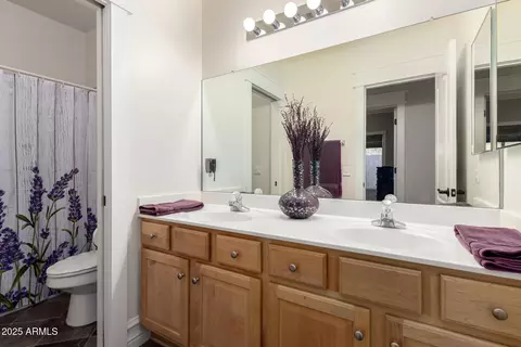 Bath - 2058 E Marlene Dr, Gilbert, AZ 85296 photo 4 of 5