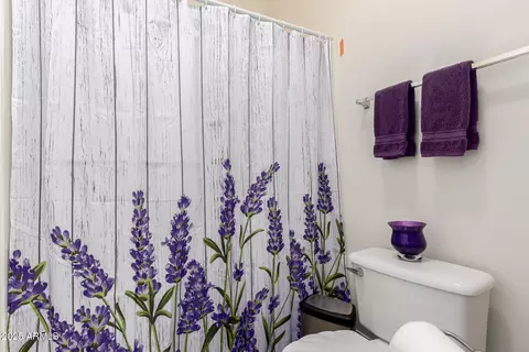 Bath - 2058 E Marlene Dr, Gilbert, AZ 85296 photo 5 of 5