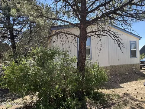 1998 Stagg Run, Overgaard, AZ 85933 photo 7