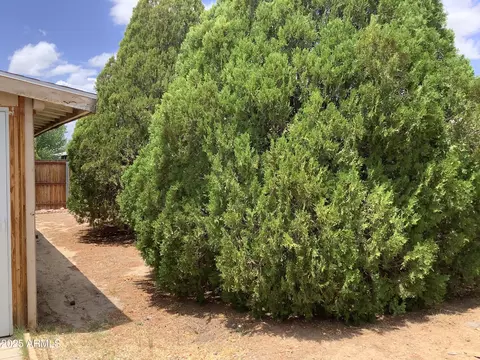 1005 N Mesa Ave, Willcox, AZ 85643 photo 21