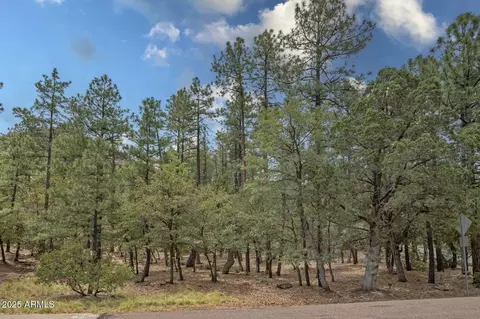 98 Trail End Dr #98, Pine, AZ 85544 photo 3
