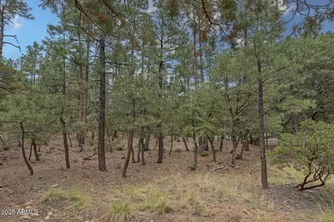 98 Trail End Dr #98, Pine, AZ 85544