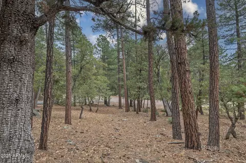 98 Trail End Dr #98, Pine, AZ 85544 photo 5