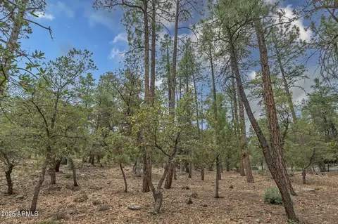 98 Trail End Dr #98, Pine, AZ 85544 photo 7