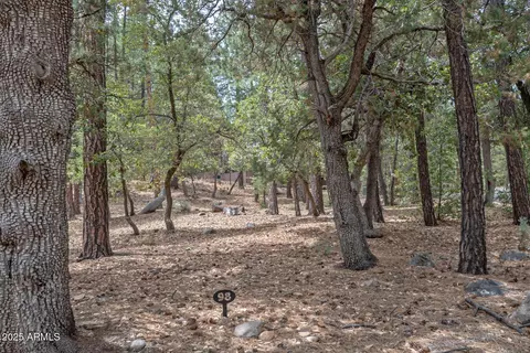 98 Trail End Dr #98, Pine, AZ 85544 photo 2