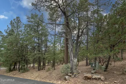 98 Trail End Dr #98, Pine, AZ 85544 photo 11