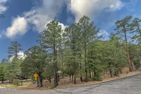 98 Trail End Dr #98, Pine, AZ 85544 photo 4