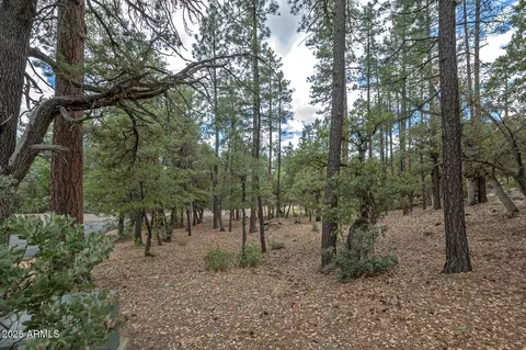 98 Trail End Dr #98, Pine, AZ 85544 photo 6
