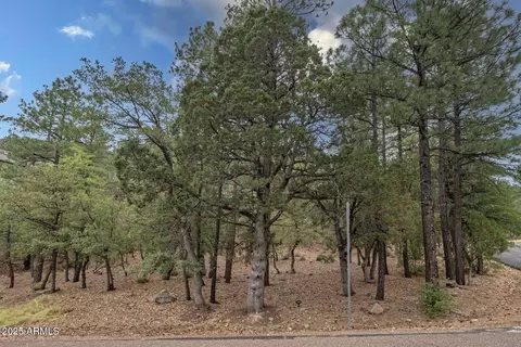 98 Trail End Dr #98, Pine, AZ 85544 photo 9
