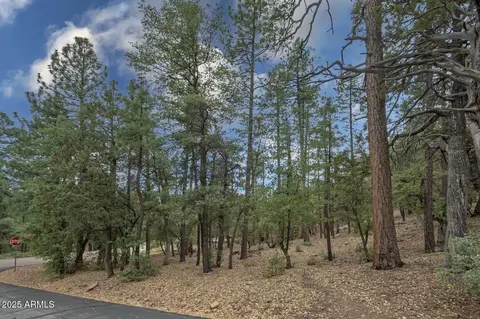 98 Trail End Dr #98, Pine, AZ 85544 photo 12