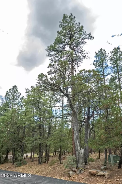 98 Trail End Dr #98, Pine, AZ 85544 photo 10