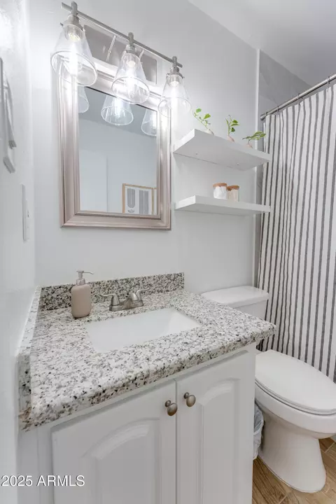 Bath - 217 E Bruce Ave, Gilbert, AZ 85234 photo 3 of 5